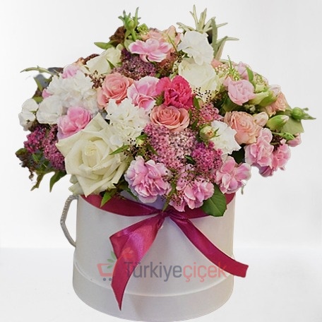 SEASONAL FLOWERS IN BOX AND ROSE 